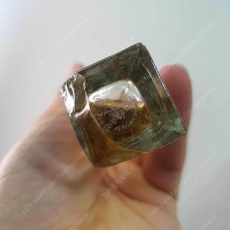 구찌 엔비 edt 50ml 향수 (5)--1