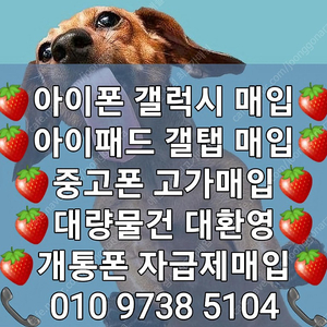 *최고가매입* 아이폰매입 갤럭시매입 아이패드 갤럭시탭 애플워치 갤럭시워치 에어팟 갤럭시버즈 중고폰매입 박스폰매입 자급제폰매입 개통폰매입 유심기변폰매입 사용중인폰매입 전기종 삽니다