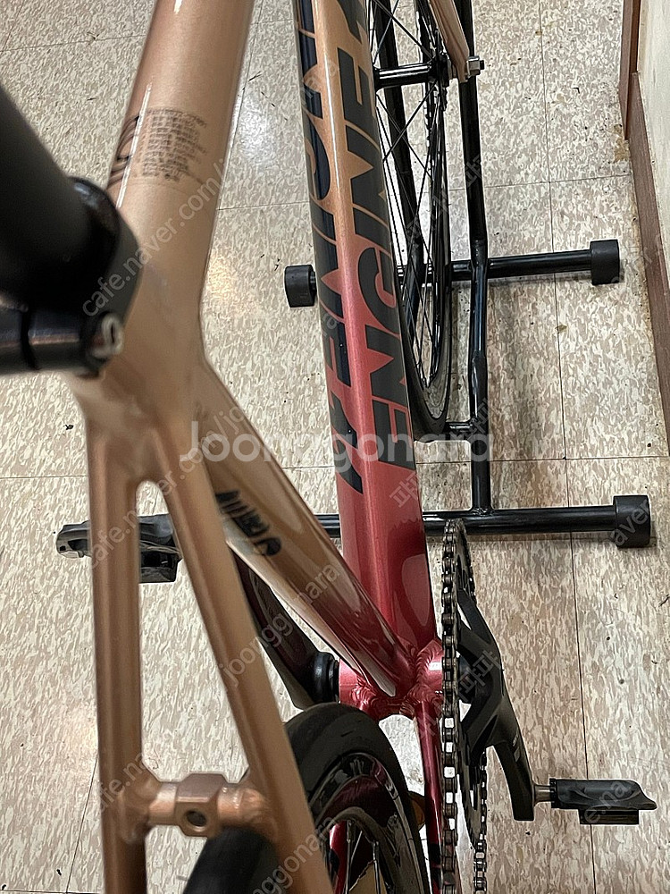 엔진11 볼텍스 23년식 픽시자전거 (상태최상)--3