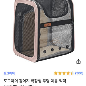 강아지 투명 이동장 백팩 가방