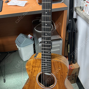 테일러 taylor gs mini e-koa