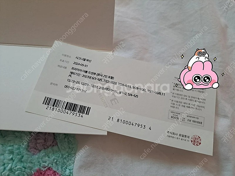 시그니엘 부산 프리미어 더블 오션뷰 60만 (2인 조식포함) 2024/5/31 까지--1