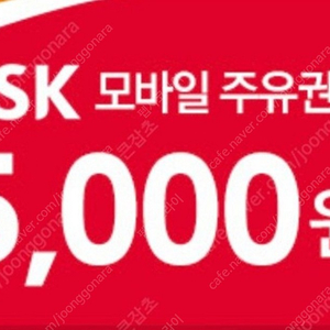 sk주유권 5000원 2장