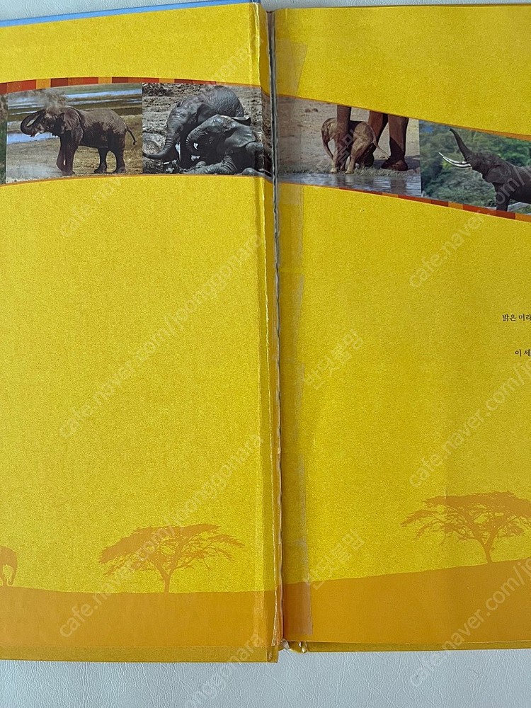 프뢰벨 생생다큐 자연관찰 & 씽킹펜 일괄 이미지