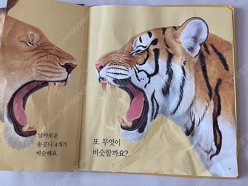 프뢰벨 생생다큐 자연관찰 & 씽킹펜 일괄 이미지