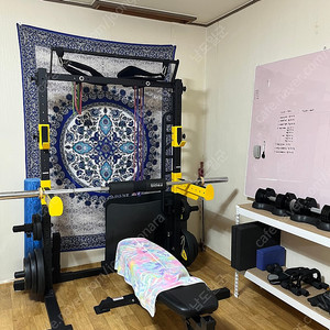 가격인하! [홈짐 풀세트] 바디스톤 스쿼트랙 중량봉 플레이트 인클라인벤치 포함