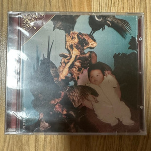 사이먼 도미닉 darkroom CD 미개봉