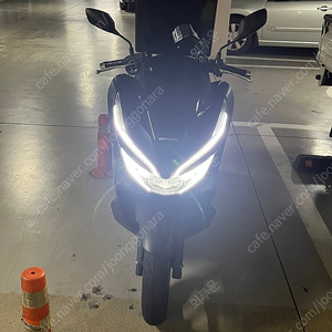 PCX125 20년식 급쳐 합니다