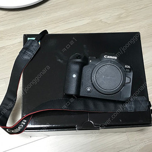 캐논 EOS R6