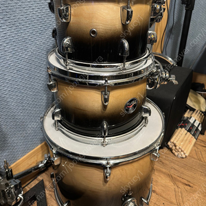 Dixon Fuse maple natural to black fade 쉘팩 ( 10,12,16,22 )