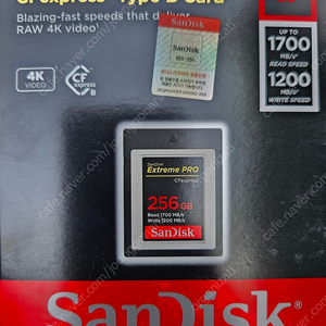 CFexpress sandisk 256g