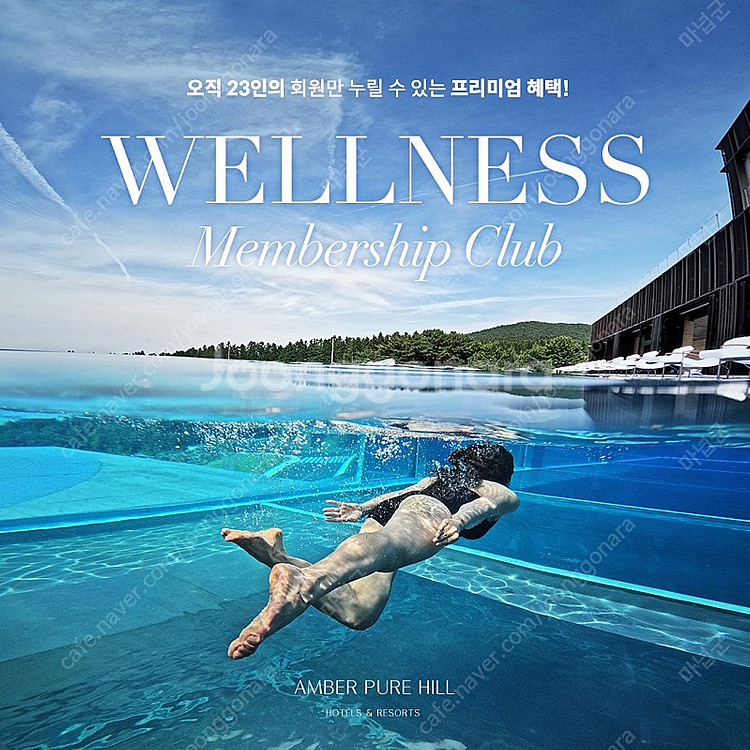 엠버퓨어힐 제주 힐디럭스 더블 8/7-8/8--0