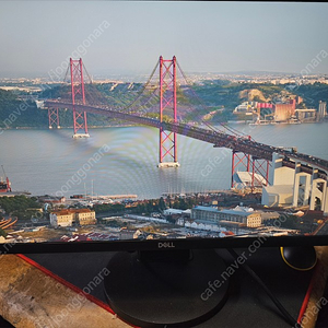 피벗(회전) 가능한 DELL 24인치 S2421HN LED 모니터 팝니다