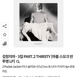 검정치마 thirsty LP