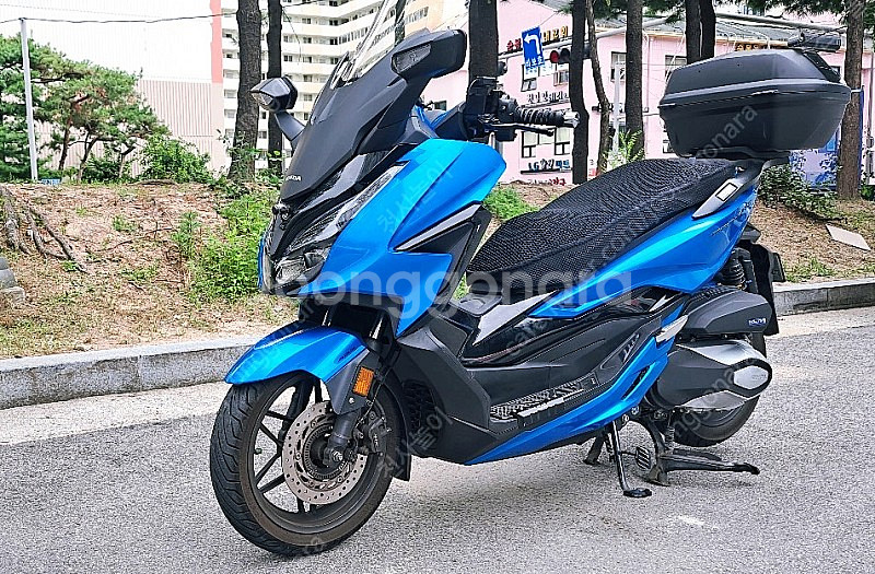 22년 6월 출고 포르자350 캔디블루 팝니다.--1