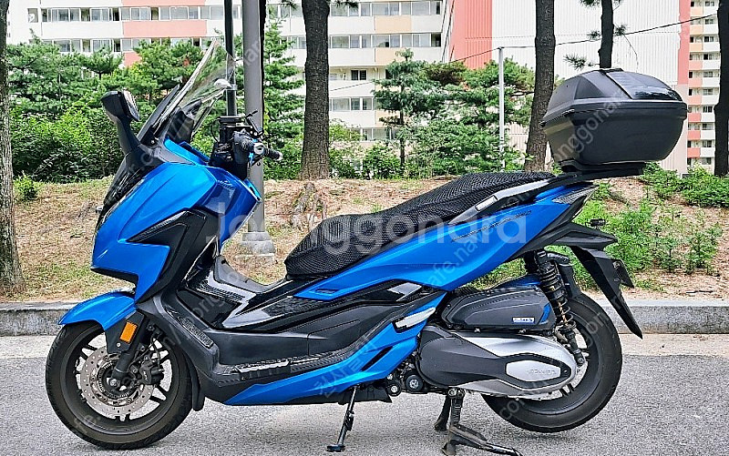22년 6월 출고 포르자350 캔디블루 팝니다.--2