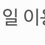 레고랜드 1인2매(비성수기 상관없음)