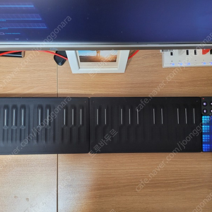 Roli seaboard blocks 키트 판매