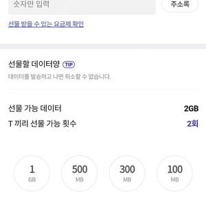 skt데이터 2기가