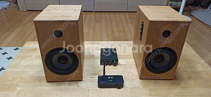 에이원 오디오 오로라 1 + Fiio BTA 30 PR...--0