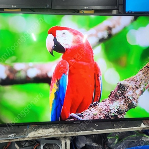 [판매] 삼성전자 UN55NU7100FXKR 55인치 LED TV 판매합니다