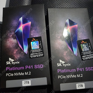 SK 하이닉스 Platinum P41 M.2 NVME 2TB 2개