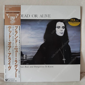 <수입 LP> Dead Or Alive – Mad, Bad And Dangerous To Know