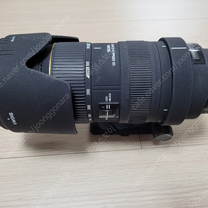 시그마 50-500mm 4-6.3 APO DG HSM (캐논마운트)