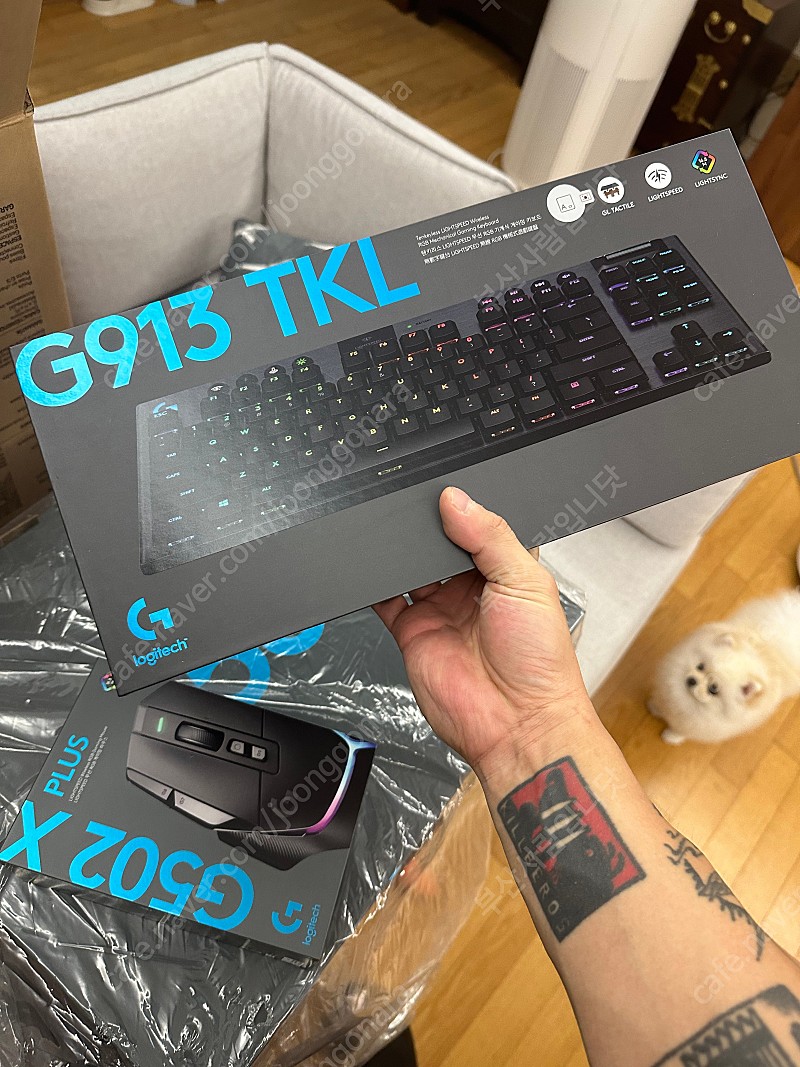 로지텍 g913 tkl 갈축 단순개봉 국내제품 | 키보드/마우스/스피커 | 중고나라