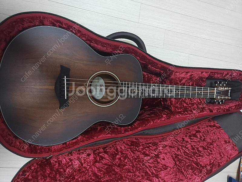 Taylor 테일러 gs-mini 하와이안 코아 Koa--1