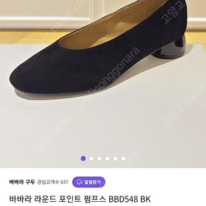 [235] 바바라 라운드 포인트 펌프스