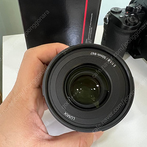 파나소닉 루믹스 50mm f1.8단렌즈 판매