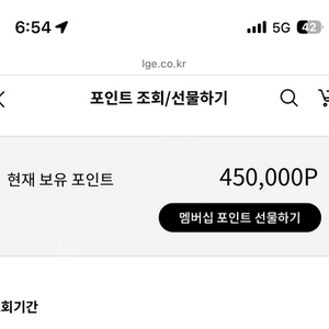 엘지전자 포인트 45만점 판매