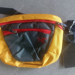 ARCTERYX 아크테릭스 웨이스트팩 2L