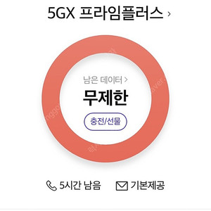 sk데이터 2기가 판매