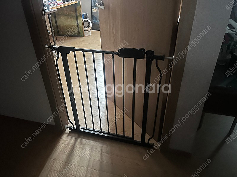 피카노리 애견 반자동 안전문--1