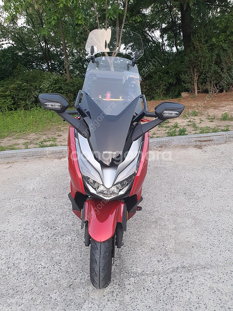 포르자300 2020 년--0