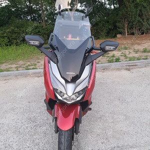 포르자300 2020 년