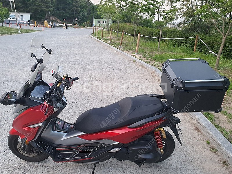 포르자300 2020 년--1