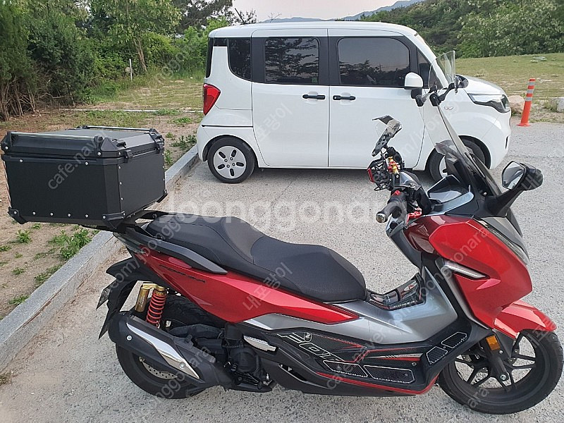 포르자300 2020 년--2