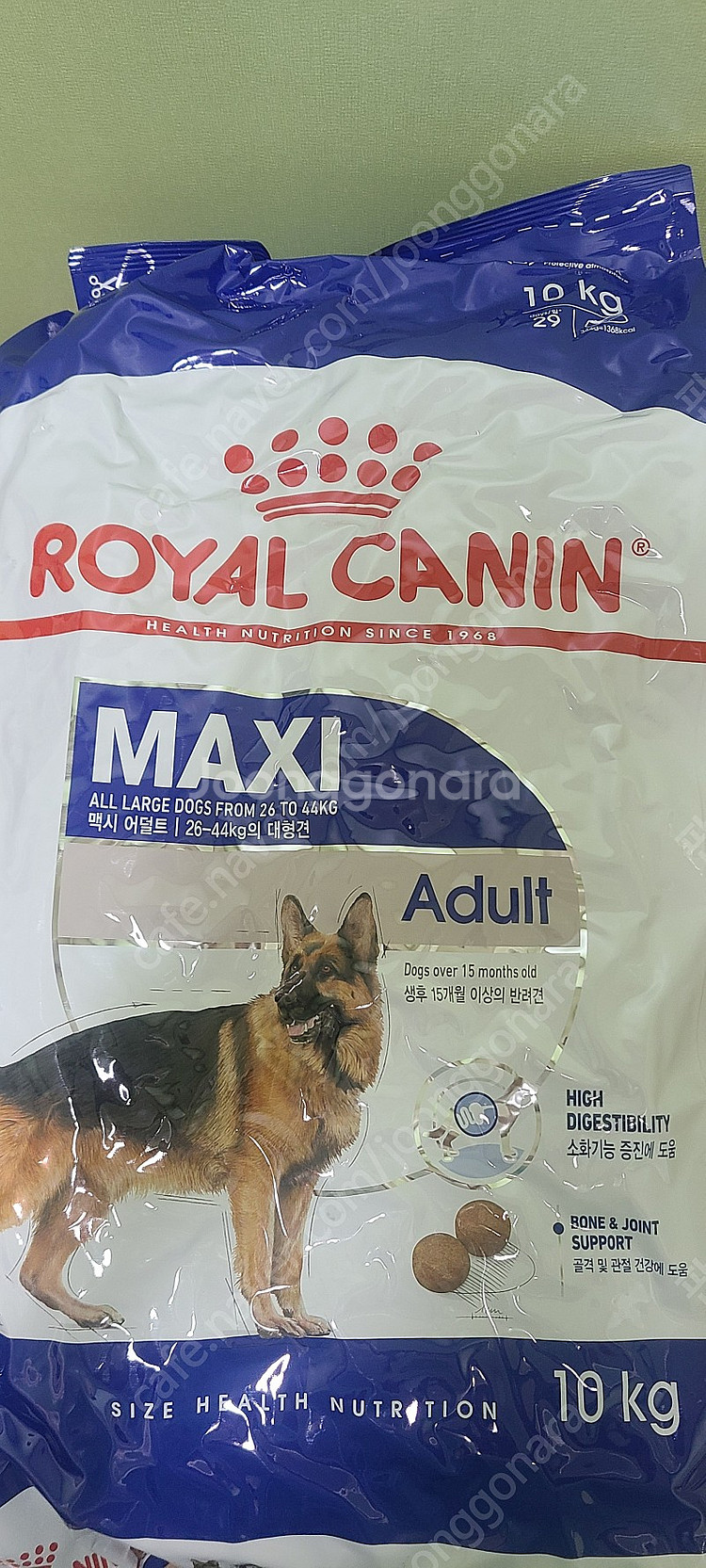 사료) 로얄캐닌 맥시 어덜트 10kg--0