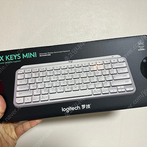 로지텍 MX Keys Mini (영문)