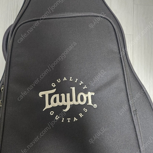 Taylor 테일러 gs-mini 하와이안 코아 Koa