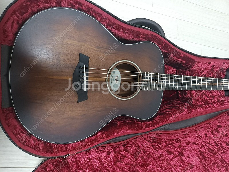 Taylor 테일러 gs-mini 하와이안 코아 Koa--2