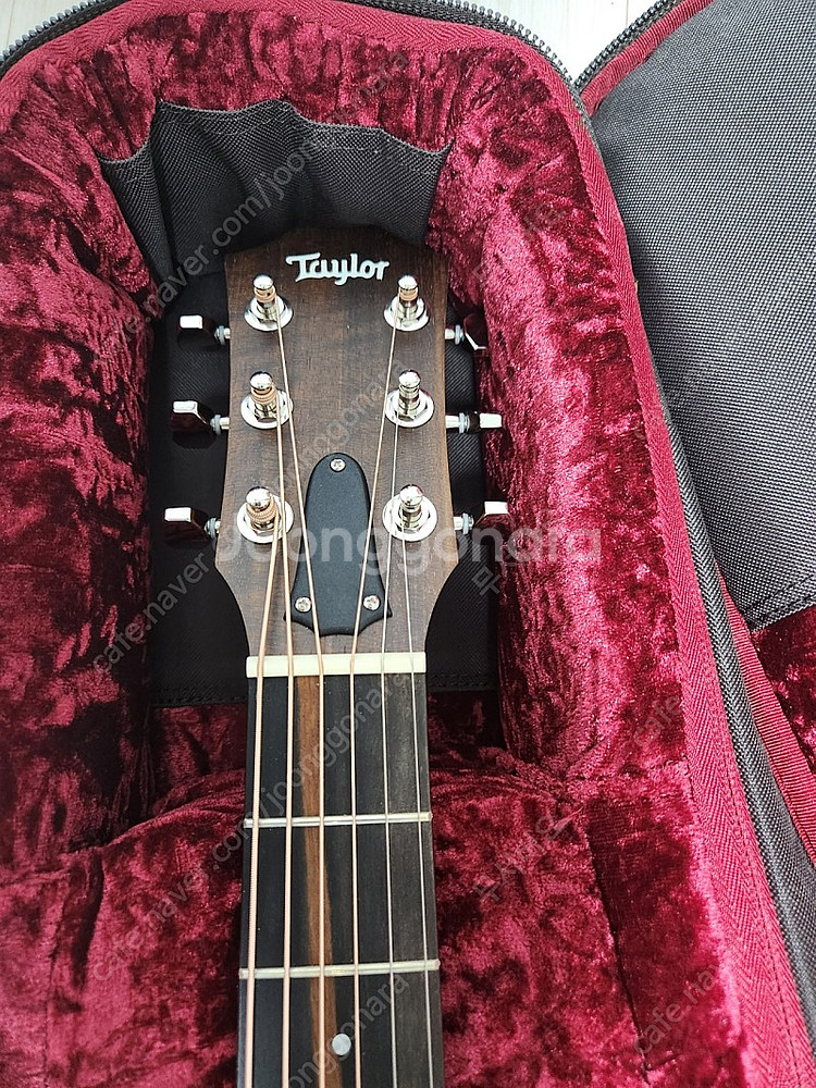 Taylor 테일러 gs-mini 하와이안 코아 Koa--3