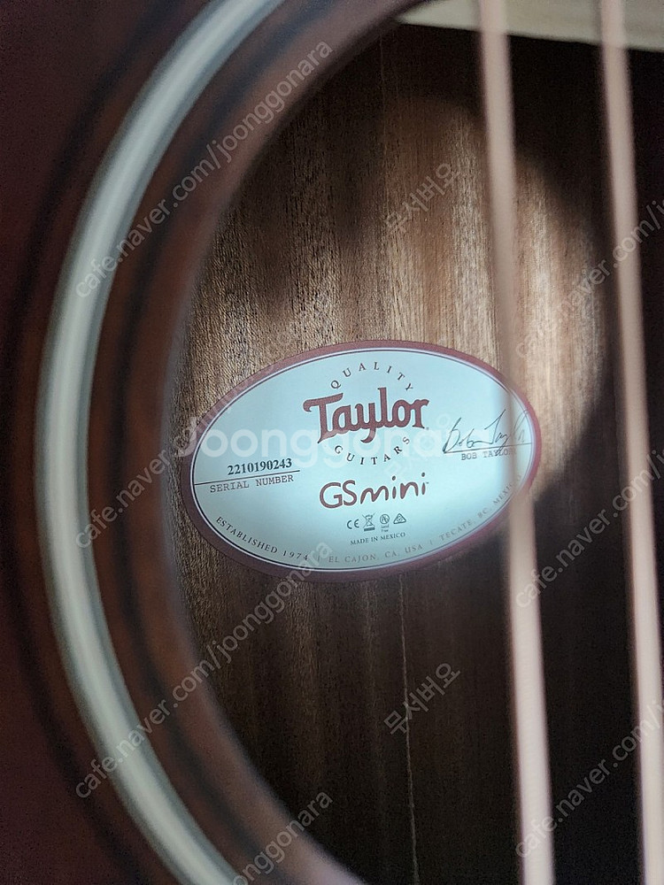 Taylor 테일러 gs-mini 하와이안 코아 Koa--4