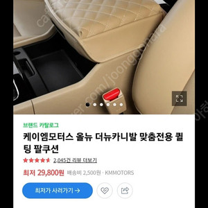 더뉴카니발 팔걸이쿠션