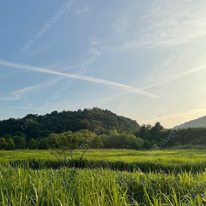 제주 sk렌트카 쿠폰 구합니다