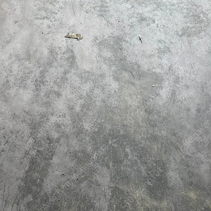 원스토아 20%쿠폰삽니다