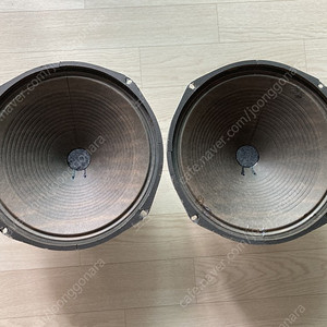 젠센,마그나복스? 12인치 알리코 플레인지 이미지